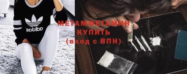 индика Аркадак