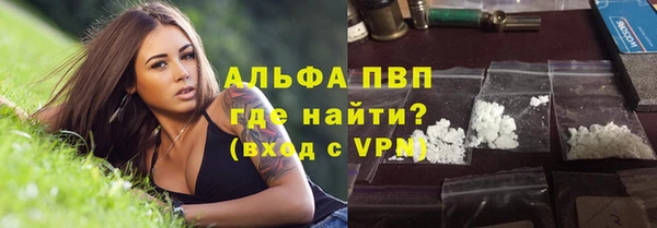 индика Аркадак