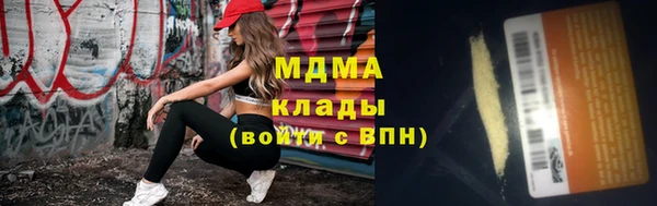 индика Аркадак