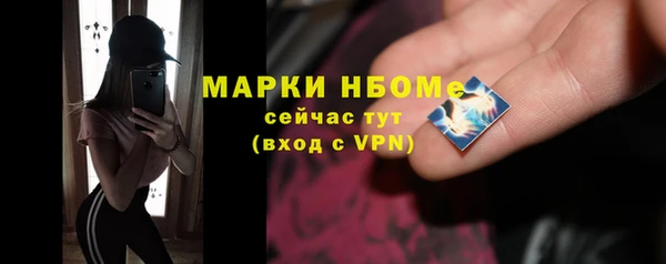 индика Аркадак