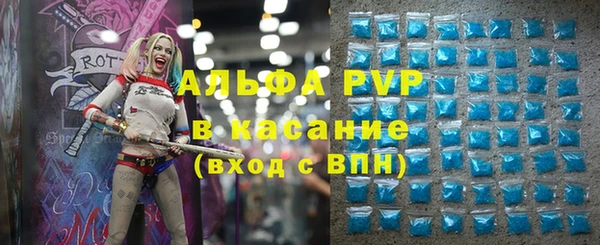 индика Аркадак