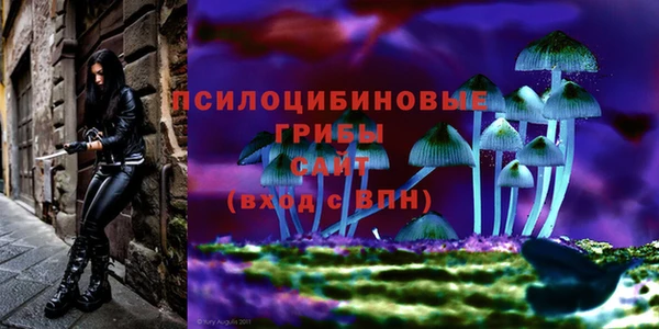 марки lsd Армянск